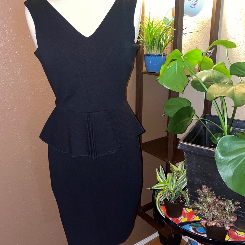 NWT Anthropologie dress